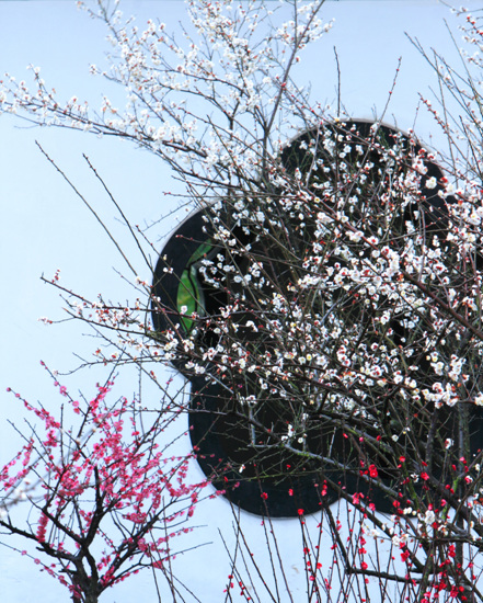 《一拳超人》漫画作者绘制《恐龙战队》视觉图公布-beat365官网