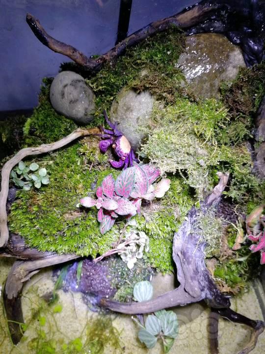 沪媒：林丹或提前退役 国羽风气差李永波要担责|beat365官网