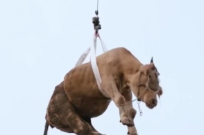 波捷特公司“富氧生态塔”项目折桂MIPIM 2015 最佳人气奖：beat365