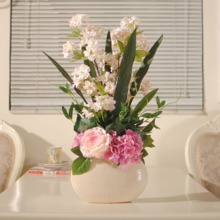 beat·365-《柯南》漫画第1017话结束后休刊7周 推出《零的日常》