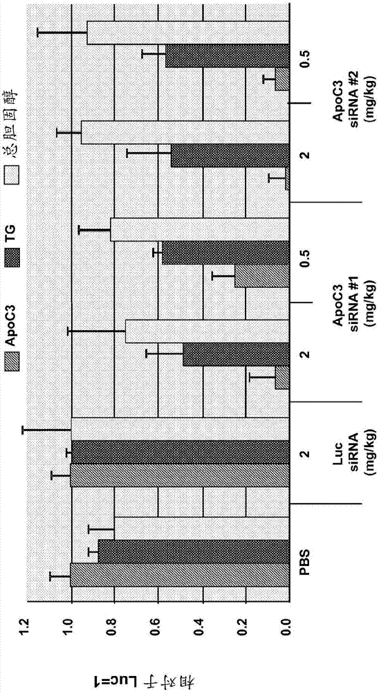 《进击的巨人》最终季2020年秋季放送 《进击的巨人》漫画完结时间“beat·3