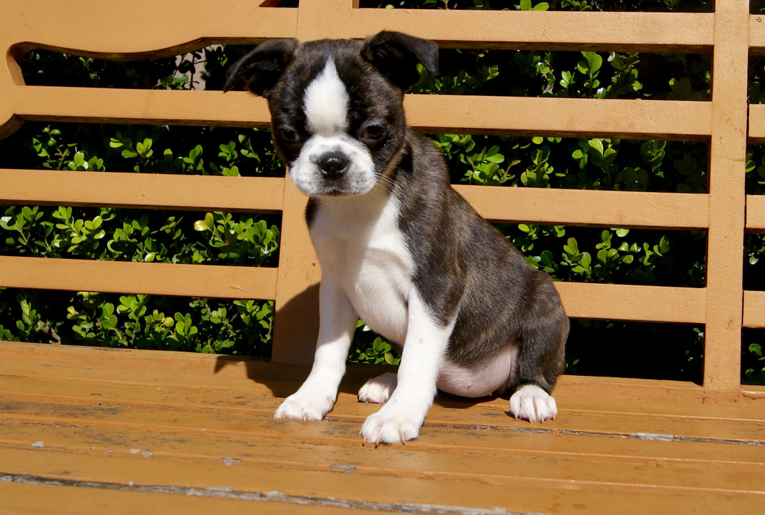 “beat365亚洲体育官方网站”Xi安办公设计公司分析会议室装修设计预算