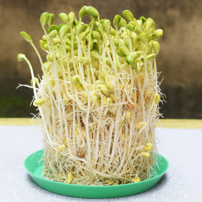 ‘beat·365’沈阳一回迁楼阳台坠落