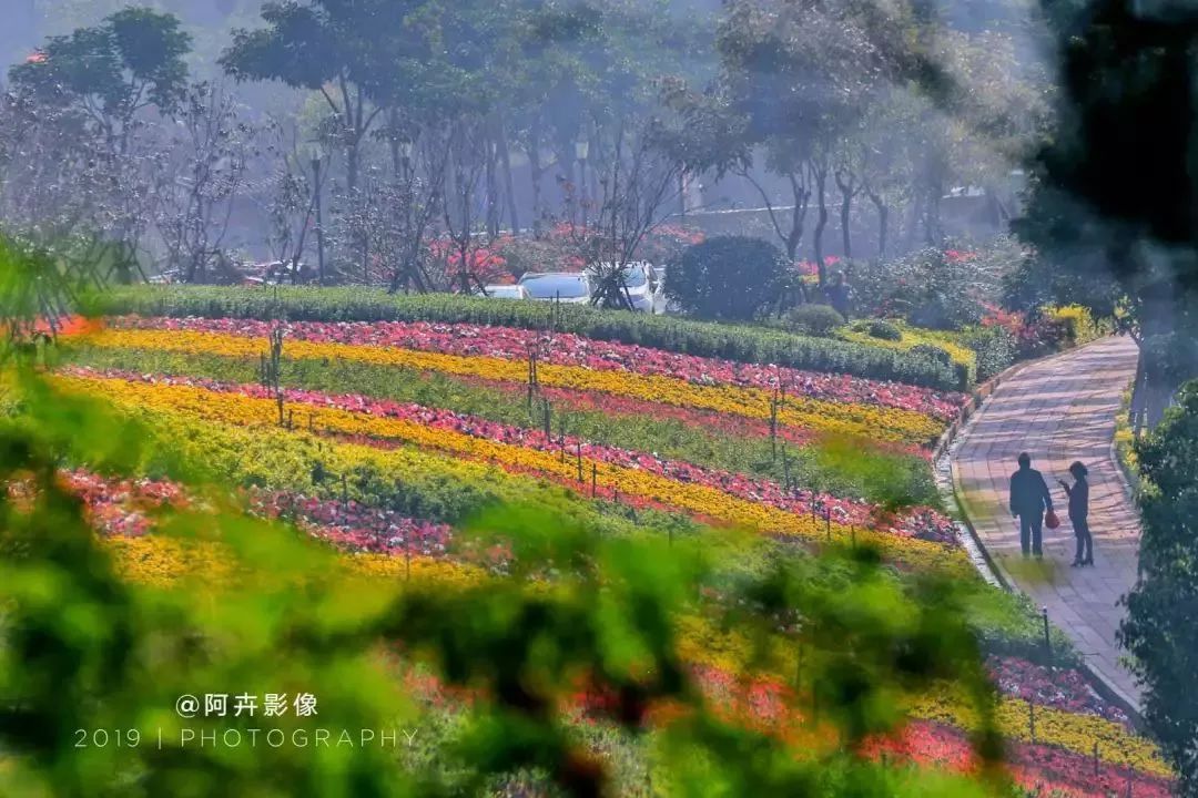 可能是很多人接触的第一个搞笑动画：《森林好小子》|beat365亚洲体育官方网站