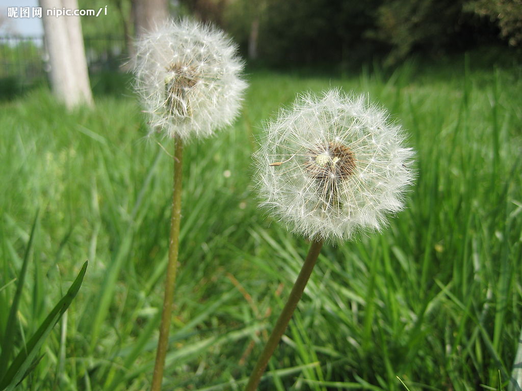 炮姐吐血了？《魔禁》最新小说图透曝光“beat365亚洲体育官方网站”