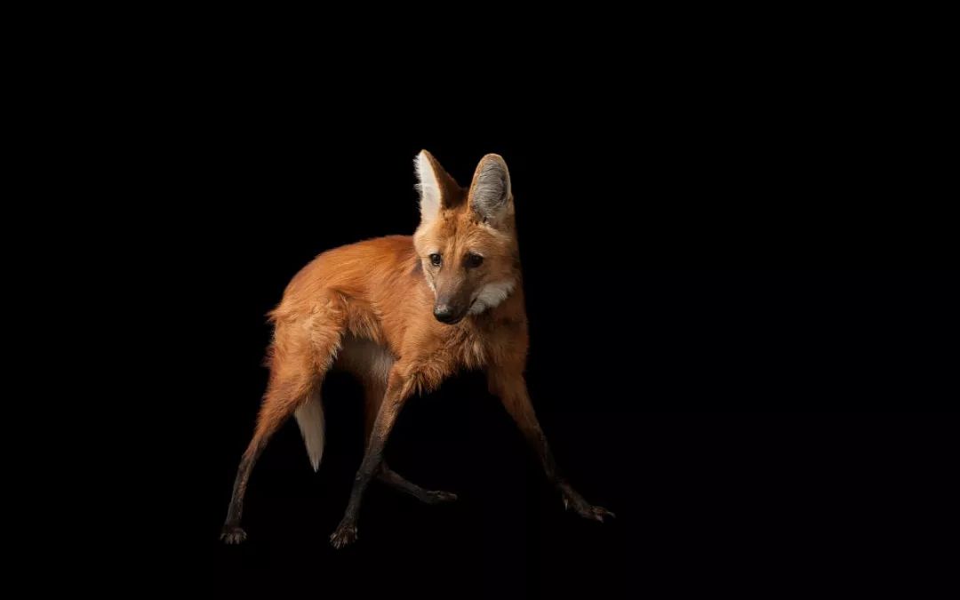 关于施工单位如何做好竣工决算的探索-beat·365