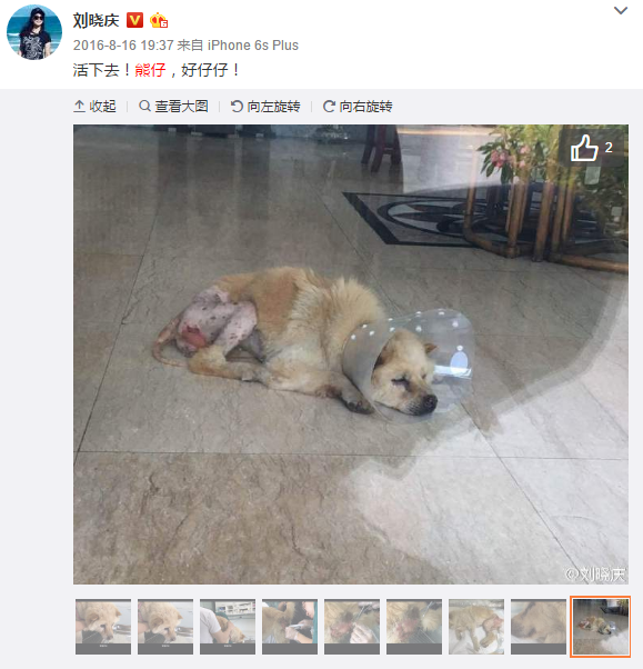 beat·365-《灌篮高手》作者井上雄彦实力仍在 现场一次作画成型