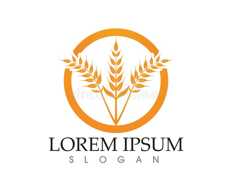 “beat·365”地下连续墙施工中出现的九大常见问题原因及防治措施