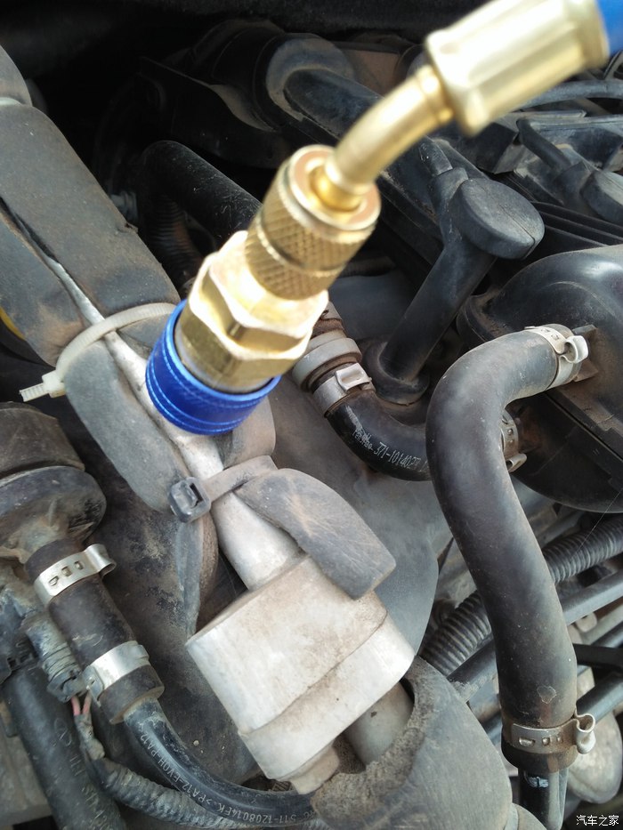 《龙珠：超》动画100话文字情报 女塞亚人向悟空请教“beat365官网”