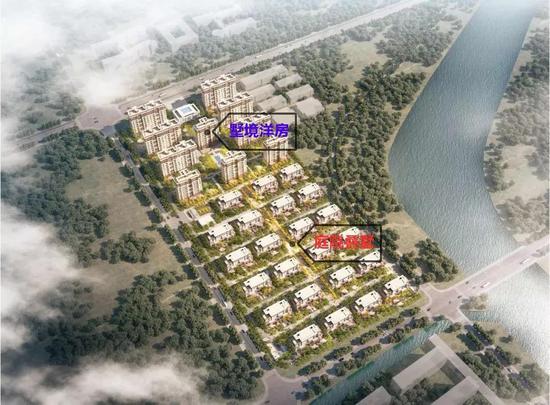 《银魂》日剧新剧照曝光 山崎爆炸头很喜感_beat365亚洲体育官方网站