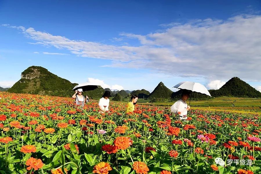 《FRAME ARMS GIRL》第9话先行图 机娘变成人类？：beat·365