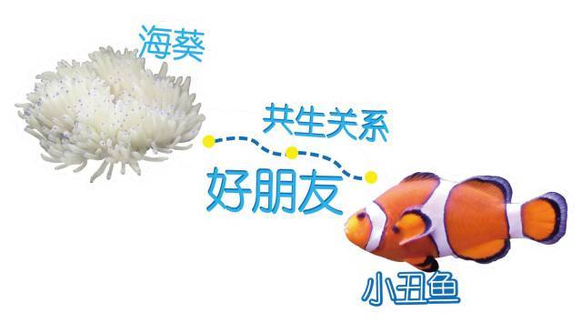 《火影忍者》舞台剧今夏再来 鸣人螺旋丸超酷登场【beat·365】